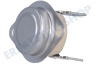 Electrolux Waschmaschine Thermostat 175 Grad