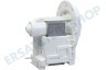 Arthur martin elux Waschmaschine Pumpe Ablaufpumpe -Leili-