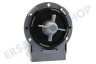 Electrolux Waschmaschine Ablaufpumpe