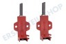 Ariston-Blue Air Waschmaschine 196539, C00196539 Kohlebürste In Halter MTR.00246090