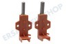 Ariston Waschmaschine C00196539 Kohlebürste in Halter MTR.00246090