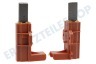 Ariston Waschmaschine C00196539 Kohlebürste in Halter MTR.00246090