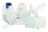 Indesit Waschmaschine 110333, C00110333 Einlassventil 2-fach, gerade, dick