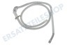 Bosch Waschmaschine 701710, 00701710 Schlauch Ablauf