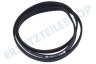 Bosch Waschmaschine 264987, 00264987 Keilrippenriemen 1180 J TEM