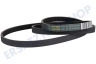 Siemens Trockner 439490, 00439490 Keilrippenriemen 1255 J5 TEM