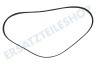 Bosch Waschmaschine 745310, 00745310 Riemen 5PJE 1163