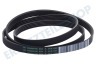 Profilo Waschmaschine 678914, 00678914 Riemen 1252 J5 TEM