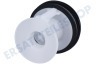 Bosch Waschmaschine 182430, 00182430 Filter Flusensieb