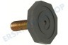 Agni Waschmaschine 40302, 00040302 Gerätefuß Nivellierfuß M10