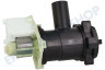 Lynx Waschmaschine 145787, 00145787 Ablaufpumpe
