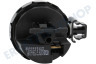 Bosch Waschmaschine 619600, 00619600 Wasserstandsregler Niveauschalter analog