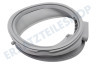 Candy Waschmaschine Manschette Auslauf oval