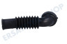 Hoover Waschmaschine Schlauch Wanne - Pumpe