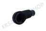 Hoover Waschmaschine Schlauch Wanne - Pumpe
