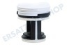 Candy Waschmaschine Filter Filter Pumpe