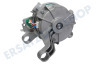 Candy Waschmaschine Motor
