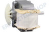 Caple Waschmaschine Lüftermotor