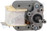 Caple Waschmaschine Lüftermotor