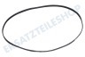 Beko Waschmaschine Keilrippenriemen 5PJE 1277 TEM
