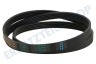 LG Waschmaschine Riemen 5PJE 1244 TEM