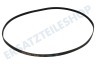 LG Waschmaschine Riemen 5PJE 1244 TEM