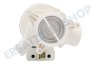 Beko Waschmaschine Pumpe Abflaufpumpe, Magnet, Hanyu