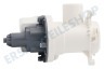 Beko Waschmaschine Pumpe Abflaufpumpe, Magnet, Hanyu