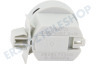 Beko Waschmaschine Wasserstandsregler Pressostat
