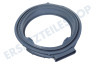 Gorenje Waschmaschine Manschette