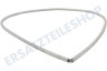 Gorenje Waschmaschine Feder Manschette