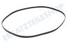 Gorenje Waschmaschine 151041 Keilriemen