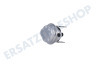 Hisense Waschmaschine Thermostat Schutz