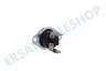 Hisense Waschmaschine Thermostat Schutz
