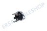 Hisense Waschmaschine Thermostat Schutz