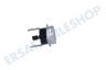 Hisense Waschmaschine Thermostat Schutz