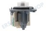 Gorenje Waschmaschine Pumpe Ablaufpumpe Askoll