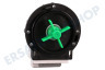 Hisense Waschmaschine Pumpe Ablaufpumpe Leili