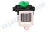 Hisense Waschmaschine Pumpe Ablaufpumpe Leili