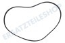 Hotpoint-ariston Waschmaschine 119126, C00119126 Riemen 6PJE 1201