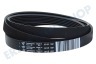 Hotpoint-ariston Waschmaschine 119126, C00119126 Riemen 6PJE 1201