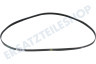 Hotpoint-ariston Waschmaschine Riemen 1195 PHE8