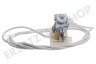 Indesit 269738, C00269738 Kondensator Netzkabel mit 3x1,5mm2 Suppressor 0,47uF