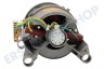 Protech Waschmaschine Motor komplett