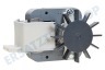 Alternative Waschmaschine Pumpe Ablaufpumpe ohne Abdeckung -GRE-