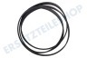Whirlpool Waschmaschine Riemen 1204 PHE8