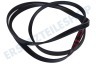 Hanseatic Trockner Keilrippenriemen 1250 PJE J4 TEM