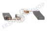 Whirlpool Waschmaschine Kohlebürste Set 12x5 Feder/Klemme