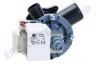 Whirlpool Waschmaschine Pumpe Ablauf, Hanyu