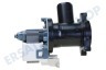 Whirlpool Waschmaschine Pumpe Ablauf, Hanyu